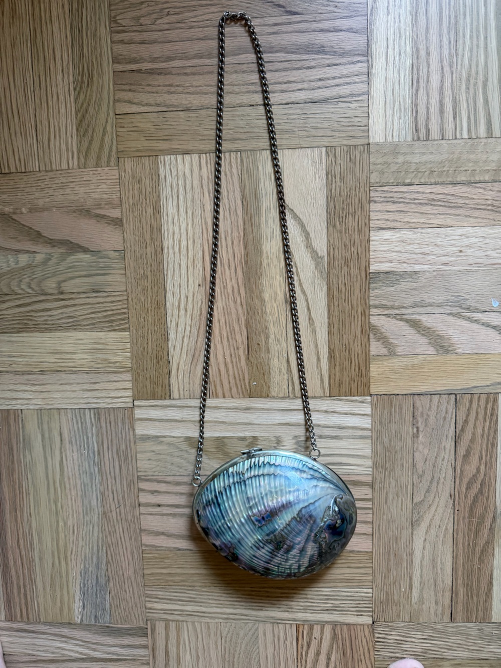 Vintage 1960s Abalone Shell Clutch Purse with iridescent shell pattern